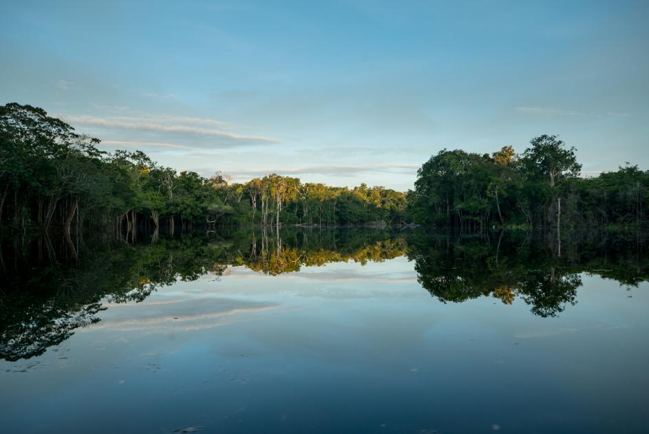 Why are rivers so important? How can we protect them? | WWF